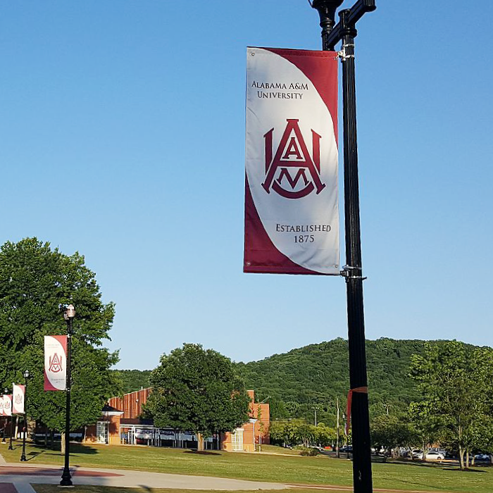 Pole Banners - Image 6